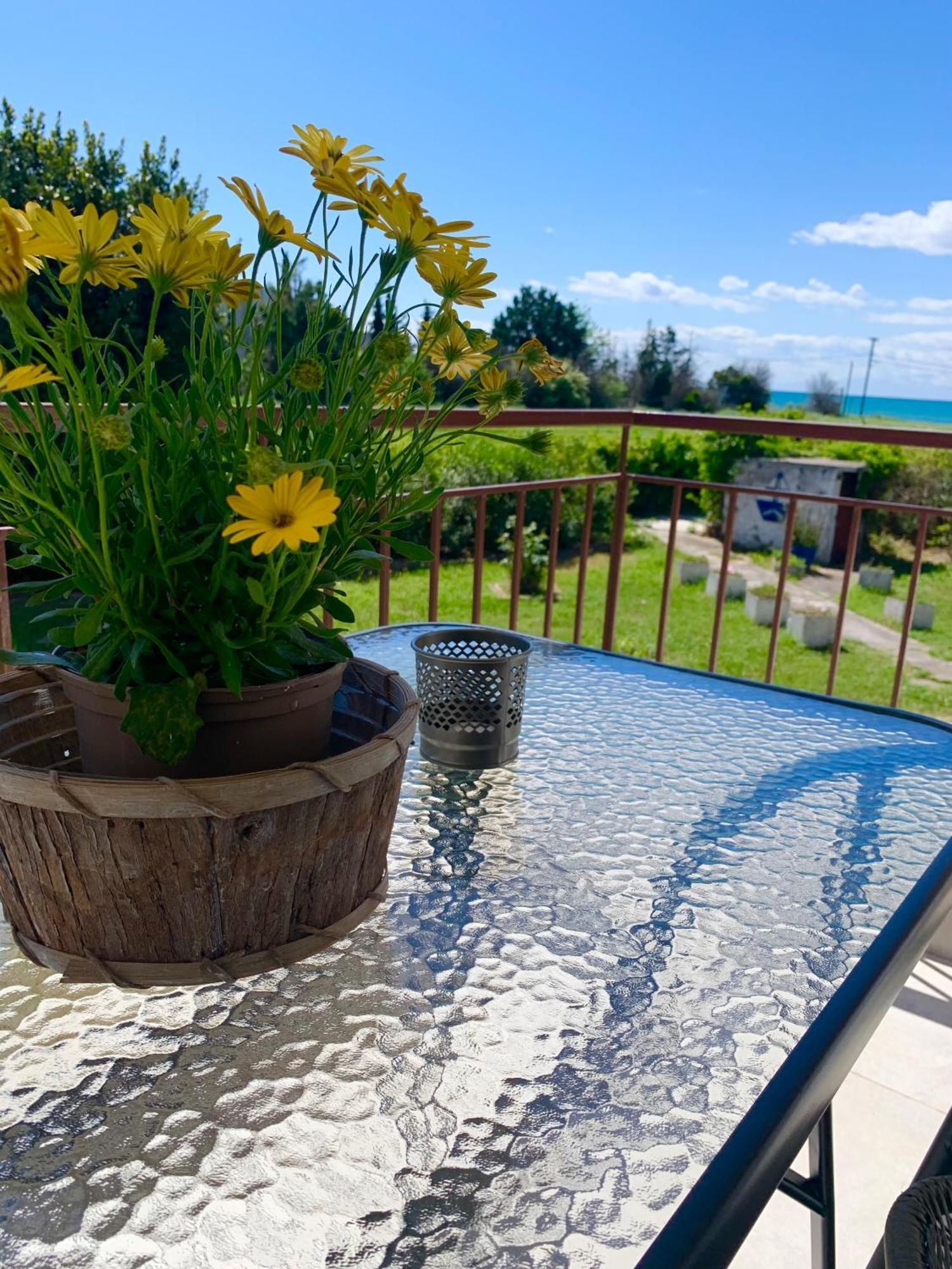 Apartment Lovely By The Sea 2 …..